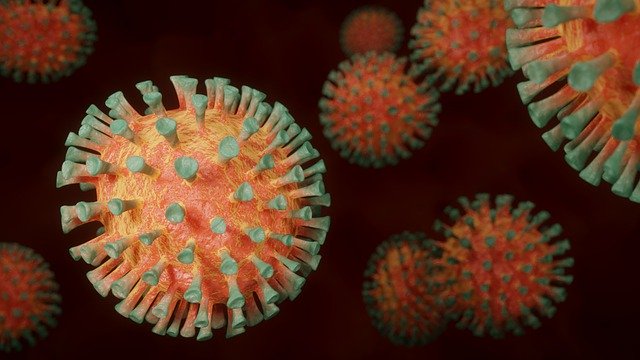 Up-close photo of virus